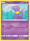 Ekans 25/68 Hidden Fates English Pokémon card