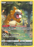 Bidoof GG29/GG70 Crown Zenith Galarian Gallery English Pokémon card