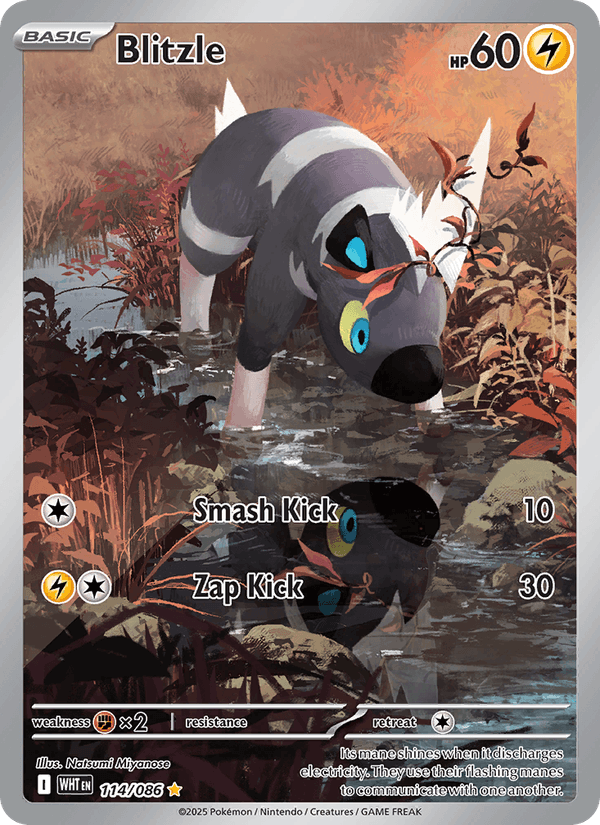 Blitzle 114/86 White Flare English Pokémon card