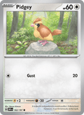 Pidgey 162/197 Obsidian Flames English Pokémon card