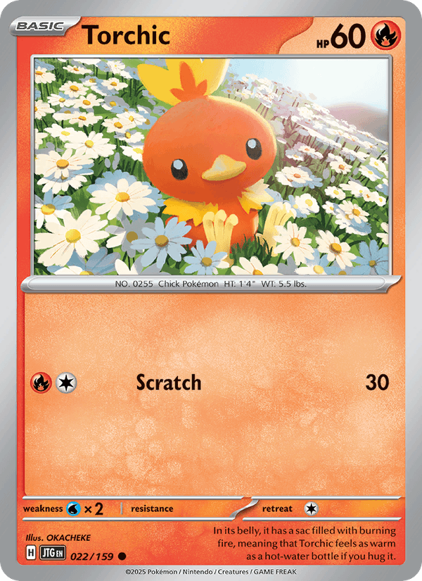Torchic 22/159 Journey Together English Pokémon card