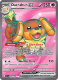 Dachsbun ex 160/142 Stellar Crown English Pokémon card