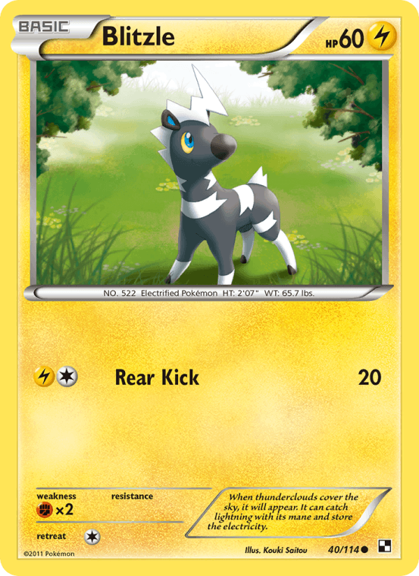 Blitzle 40/114 Black & White English Pokémon card