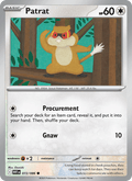 Patrat 72/86 White Flare English Pokémon card