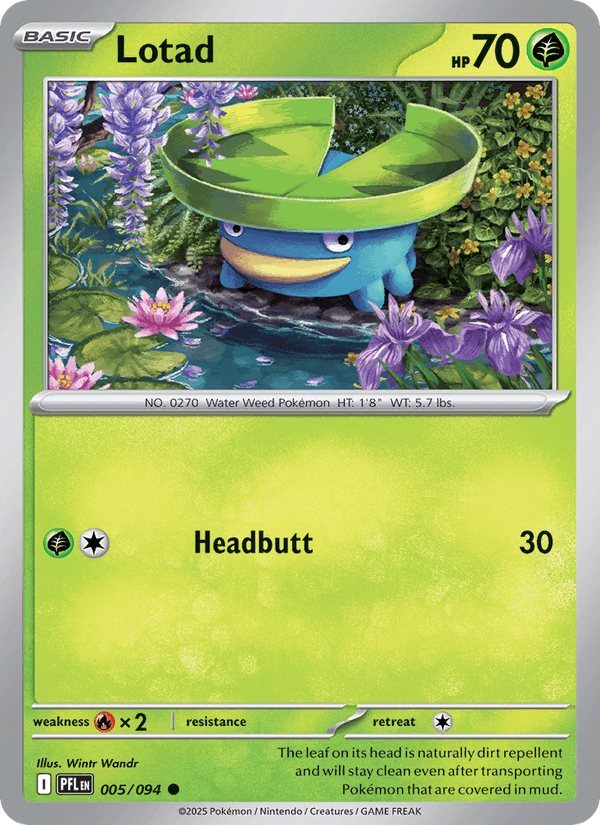 Lotad 5/94 Phantasmal Flames English Pokémon card