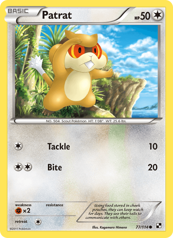 Patrat 77/114 Black & White English Pokémon card