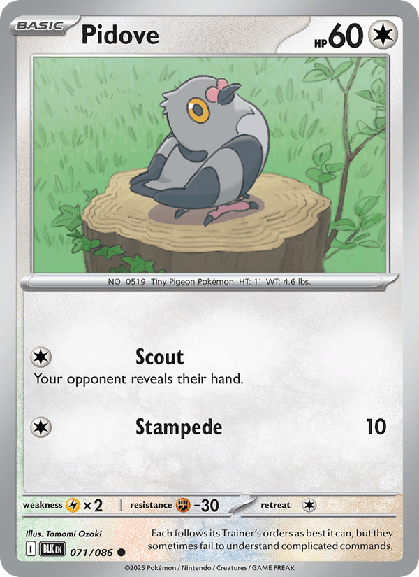 Pidove 71/86 Black Bolt English Pokémon card