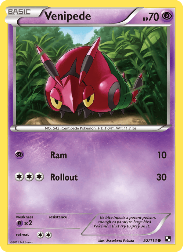 Venipede 52/114 Black & White English Pokémon card