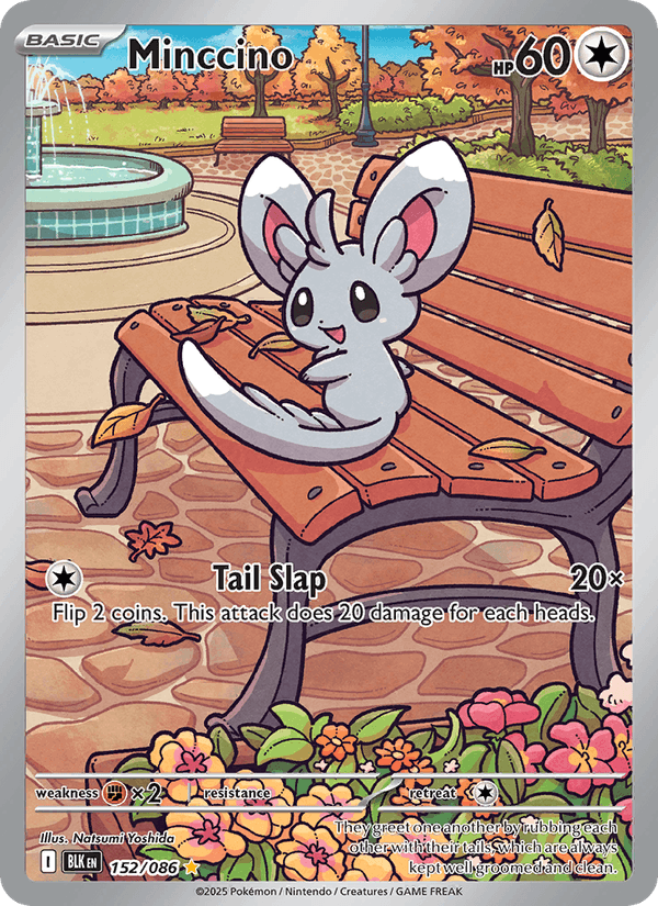 Minccino 152/86 Black Bolt English Pokémon card