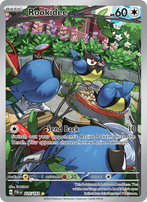 Rookidee 225/193 Paldea Evolved English Pokémon card