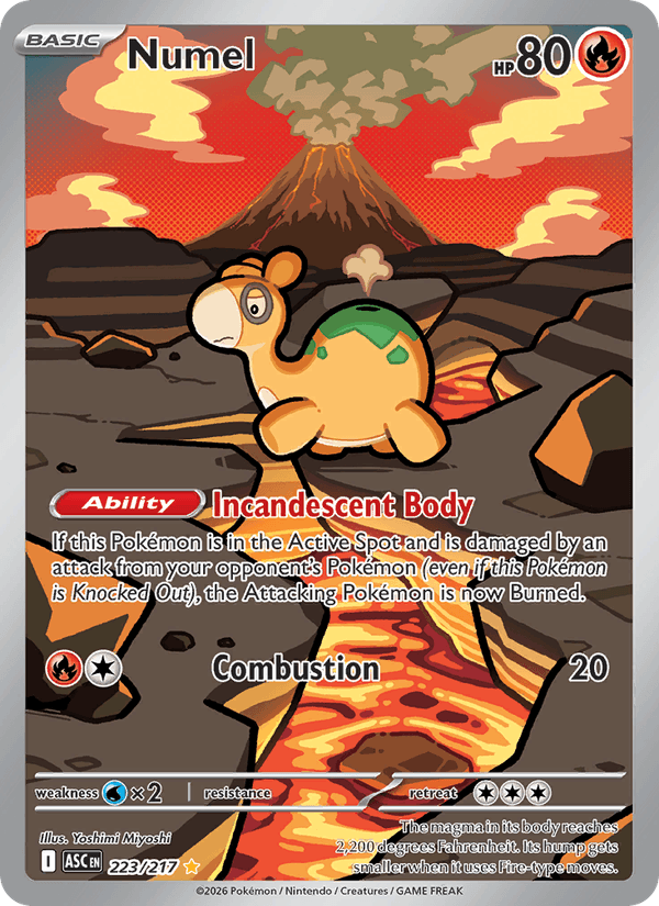Numel 223/217 Ascended Heroes English Pokémon card