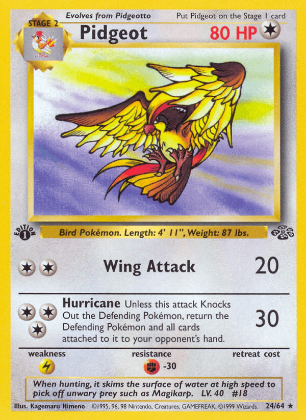 Pidgeot 24/64 — Jungle [EN] — FrostPeak Collectibles