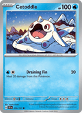 Cetoddle 53/191 Surging Sparks English Pokémon card
