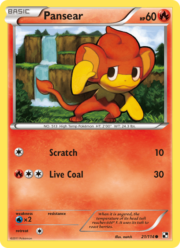 Pansear 21/114 Black & White English Pokémon card