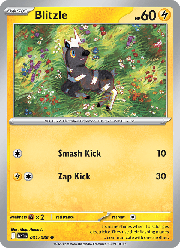 Blitzle 31/86 White Flare English Pokémon card